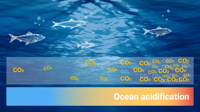 How Does Climate Change Affect the Environment?