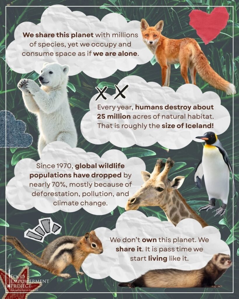 How Does Climate Change Affect the Environment?