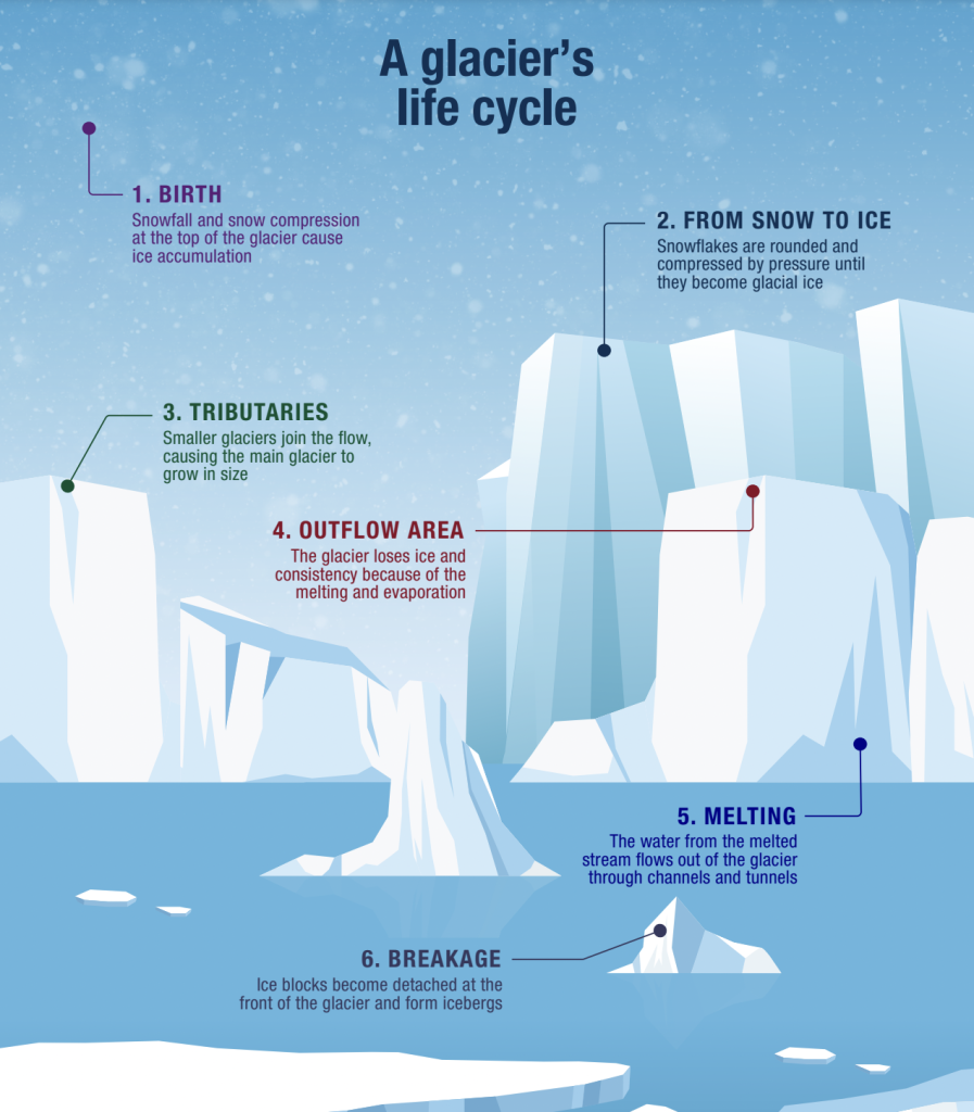 How Does Climate Change Affect the Environment?