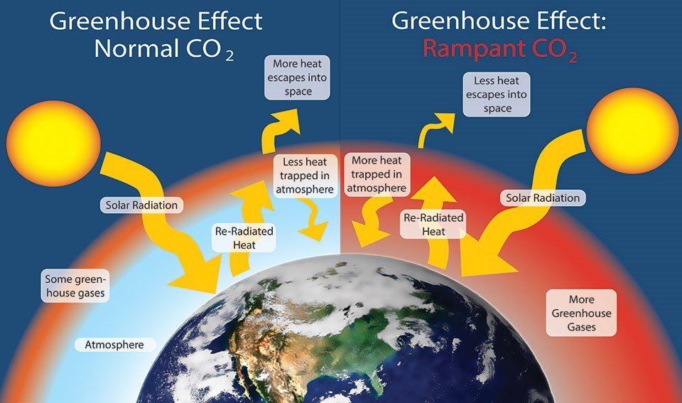 How Does Climate Change Affect the Environment?